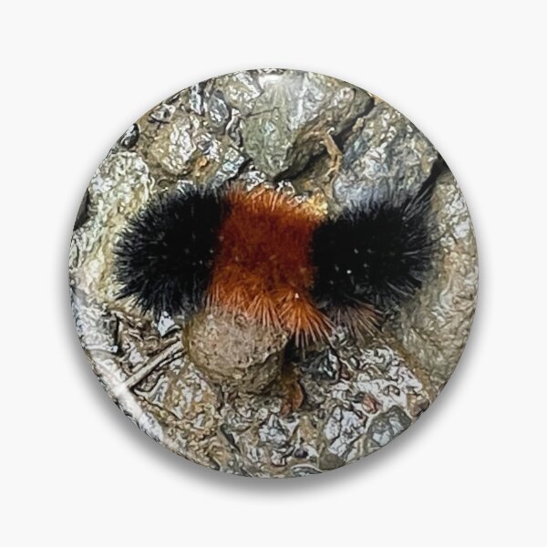 Item preview, Fuzzy Caterpillar Black Orange God’s Creation Animals designed and sold by CreationViewArt.