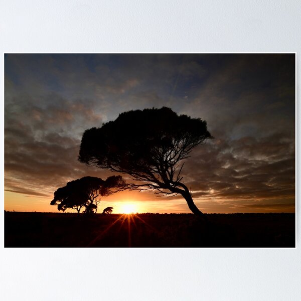 Item preview, Sunrise on the Nullarbor designed and sold by photosbymia.