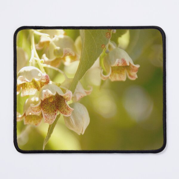 Item preview, Kurrajong in Flower designed and sold by Ohlordi.