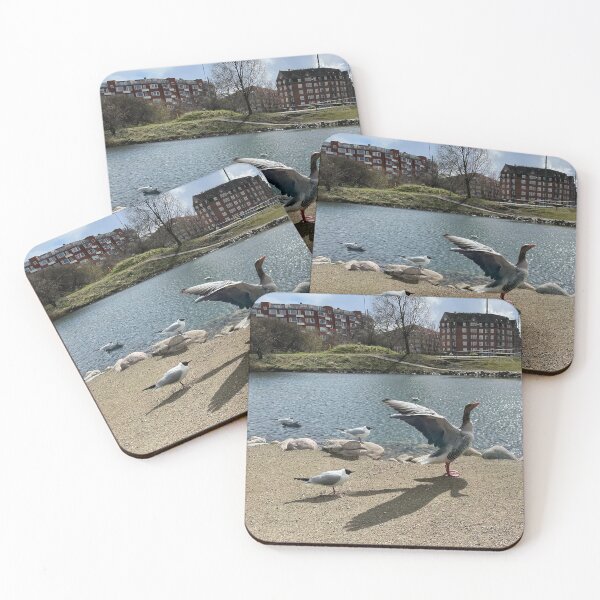 Item preview, Goose & Seagulls designed and sold by Mortinus.