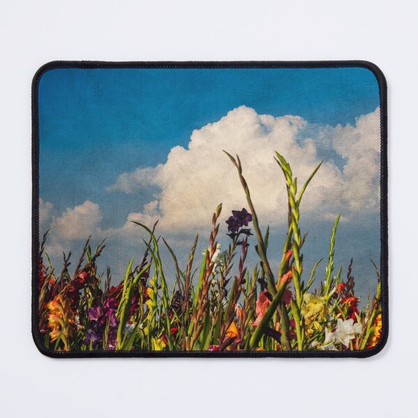Item preview, Colored Swords - Field of Gladiola Flowers in Bloom designed and sold by Dyrk Wyst Redbubble Shop.