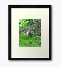 Chuckster Framed Print