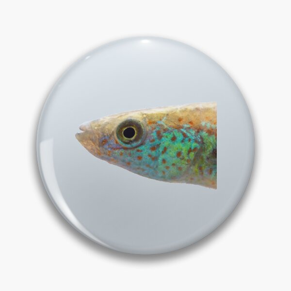 Item preview, Fundulus julisia - JLS designed and sold by Thesmoking.