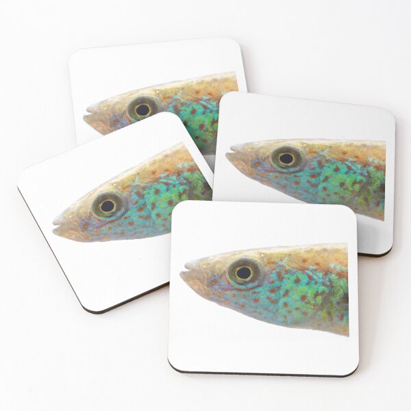 Item preview, Fundulus julisia - JLS designed and sold by Thesmoking.