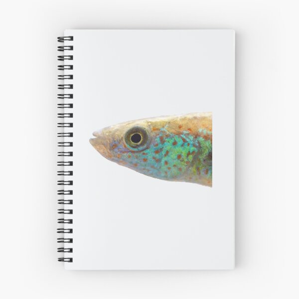 Item preview, Fundulus julisia - JLS designed and sold by Thesmoking.