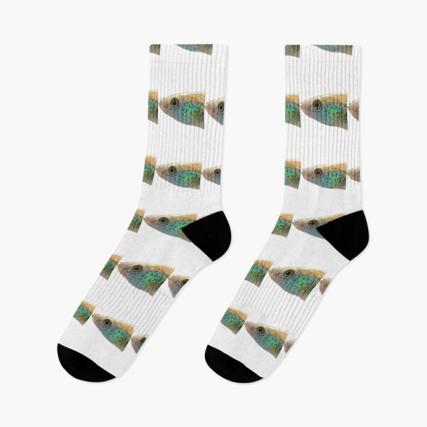 Item preview, Fundulus julisia - JLS designed and sold by Thesmoking.