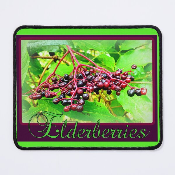 Item preview, Elderberries designed and sold by angel1.