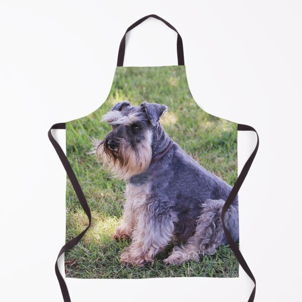 Item preview, Schnauzer sitting on the grass designed and sold by Ohlordi.