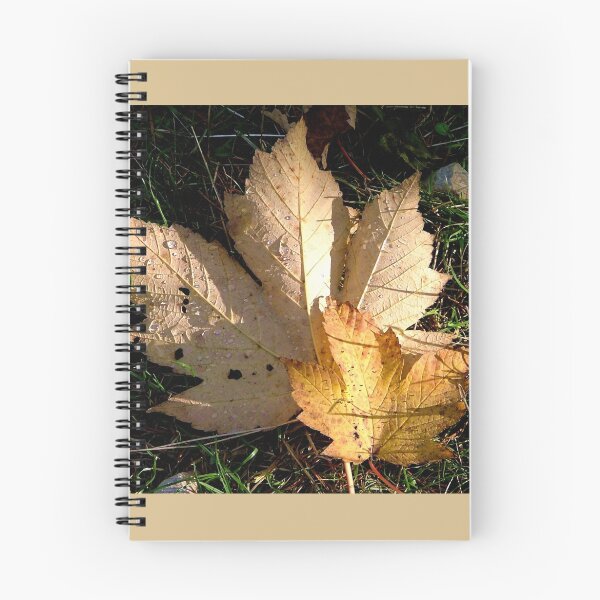 Item preview, Leaf fallen in the forest designed and sold by Luis J. de la Fuente.