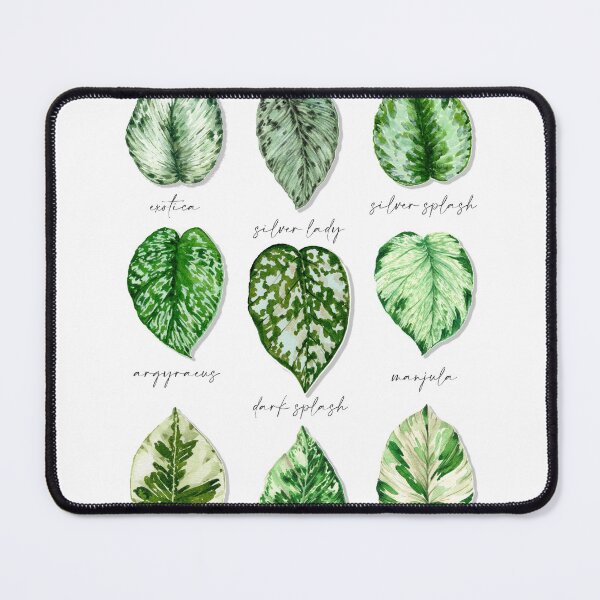 Item preview, Epipremnum & Scindapsus Vol I designed and sold by PetitMartin.
