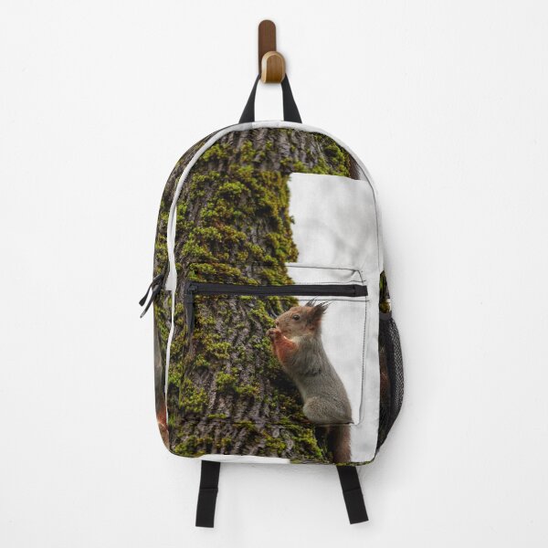 Item preview, Time to pray. Eurasian red squirrel designed and sold by Jouko Lehto Photography.
