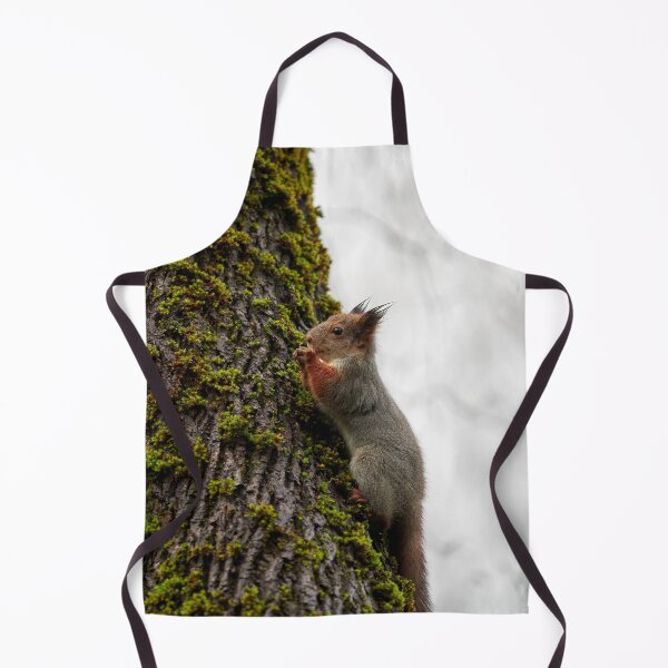 Item preview, Time to pray. Eurasian red squirrel designed and sold by Jouko Lehto Photography.