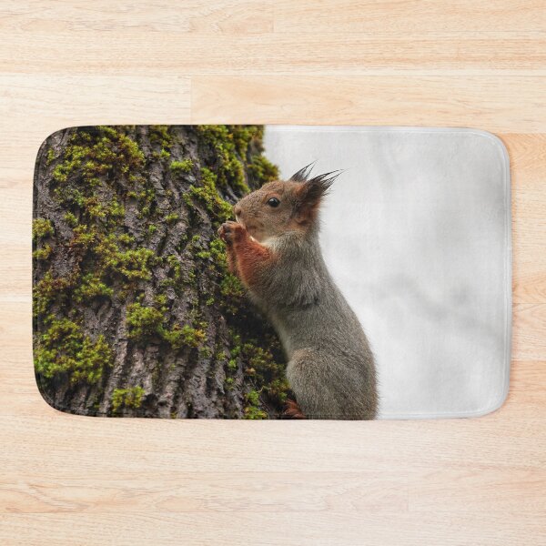 Item preview, Time to pray. Eurasian red squirrel designed and sold by Jouko Lehto Photography.