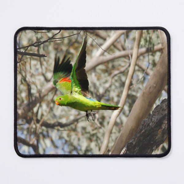 Item preview, King Parrot Free as a Bird designed and sold by Ohlordi.