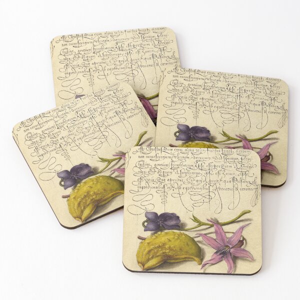 Item preview, Naturalist Manuscript: Flowers and Calligraphy Illumination by Joris Hoefnagel designed and sold by Naturalist Prints.