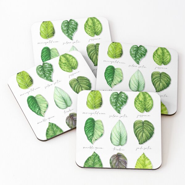 Item preview, Epipremnum & Scindapsus Vol II designed and sold by PetitMartin.
