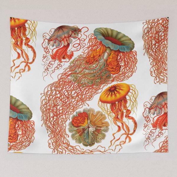 Item preview, Haeckel Discomedusae Enhanced Antique Illustration Jellyfish designed and sold by chilangopride.