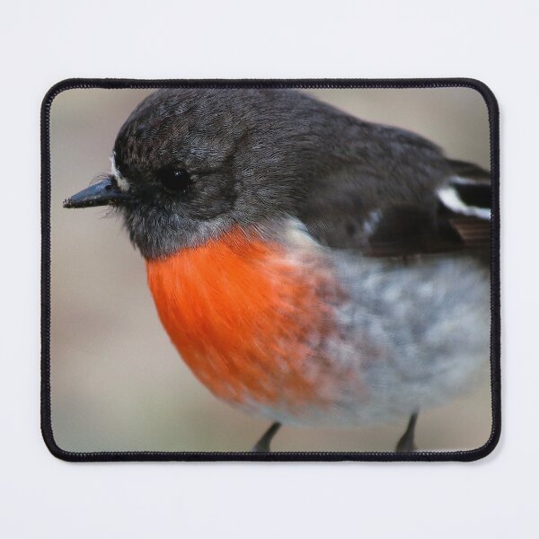 Item preview, Red Breasted Robin, Robbin Pillow designed and sold by Ohlordi.