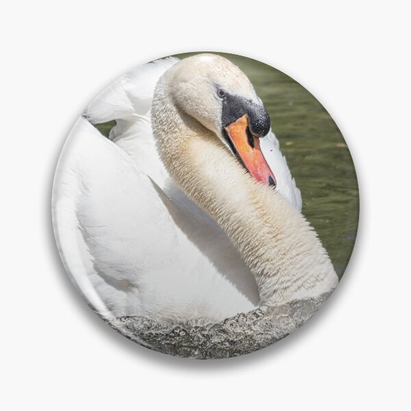 Item preview, Powerful Elegant swan with wings open designed and sold by HaleyRedshaw.