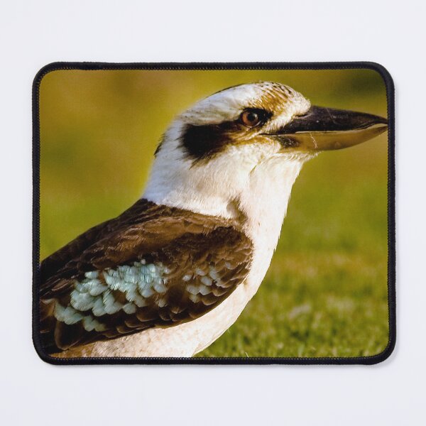 Item preview, Kookaburra, Kookaburra on green grass designed and sold by Ohlordi.