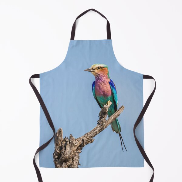 Item preview, Lilac-breasted roller (Coracias caudatus) designed and sold by Graham Prentice.