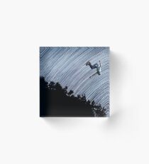 taking a stand Acrylic Block