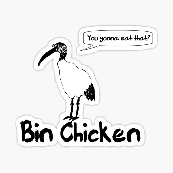 "Bin Chicken Sticker" Sticker by RianLaughton Redbubble