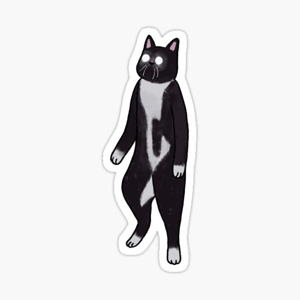 "Standing cat with glowing eyes meme" Sticker by Ashleysnook Redbubble