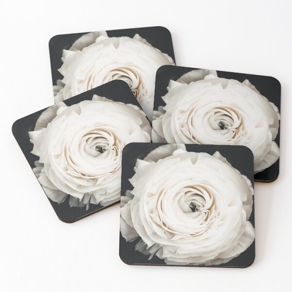 Item preview, Flower - Ranunculus - Buttercup Flower - White Floral - mothers day designed and sold by Ingrid Beddoes Photography.
