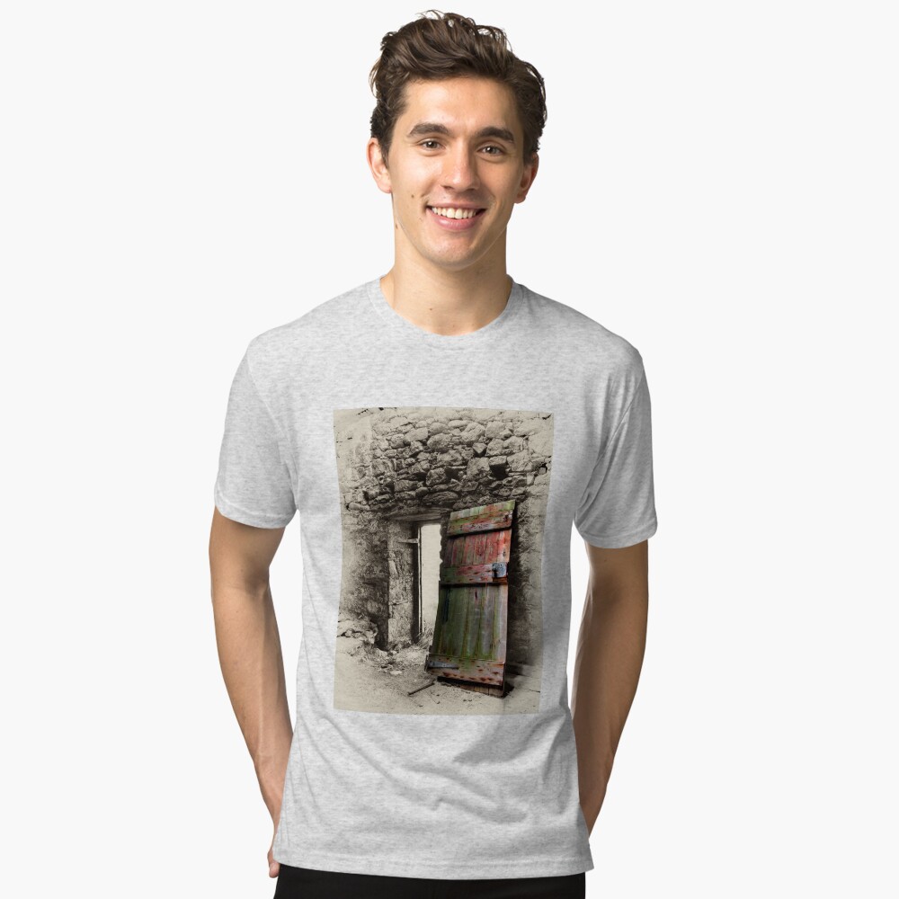 Item preview, Tri-blend T-Shirt designed and sold by Avalinart.