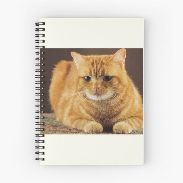 Item preview, Yelow cat designed and sold by Branislav171.