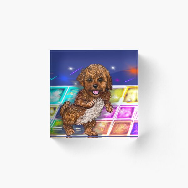 "Cavapoo Cavoodle Welpen lachen und Disco tanzen - süßer Cavalier King ...