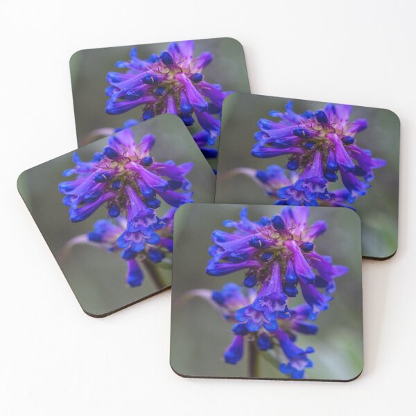 Item preview, Agapanthus designed and sold by Lauviahsdesign.