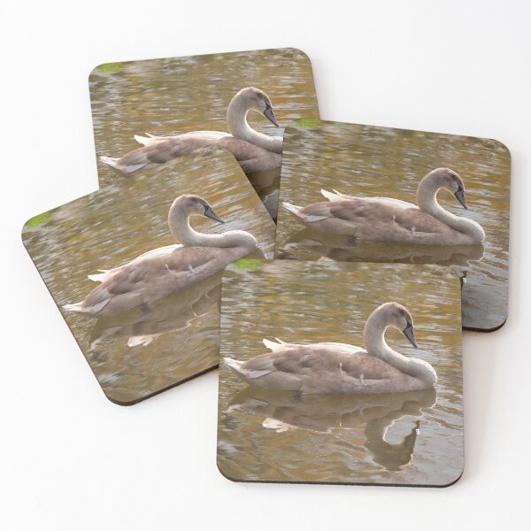 Item preview, Sleepy Cygnet designed and sold by Dorset Girl.