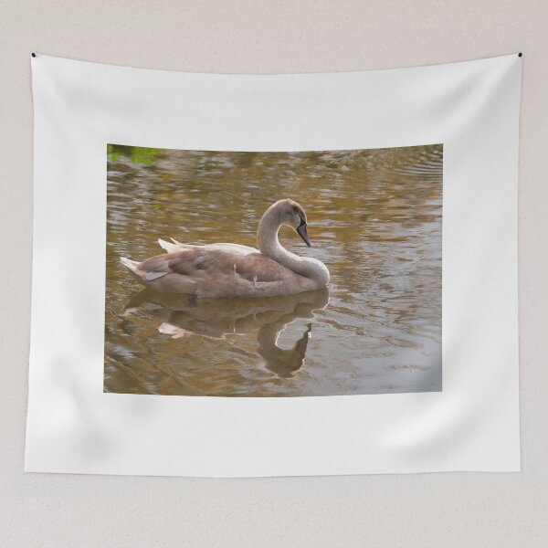 Item preview, Sleepy Cygnet designed and sold by Dorset Girl.