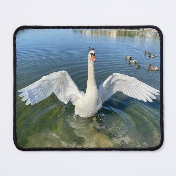 Item preview, Swan Wings designed and sold by Mortinus.