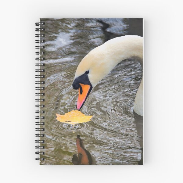 Item preview, Mute Swan with Autumn Leaf designed and sold by Dorset Girl.
