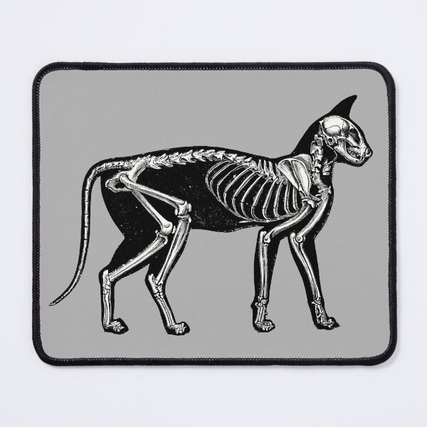 Item preview, Skeleton Cat designed and sold by claudiatoman.