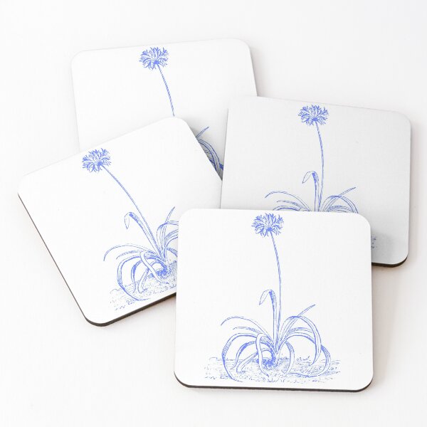 Item preview, Agapanthus designed and sold by Lauviahsdesign.