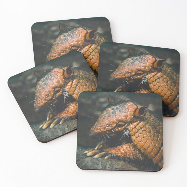 Item preview, Six Banded Armadillo at the zoo designed and sold by Michael Deemer.