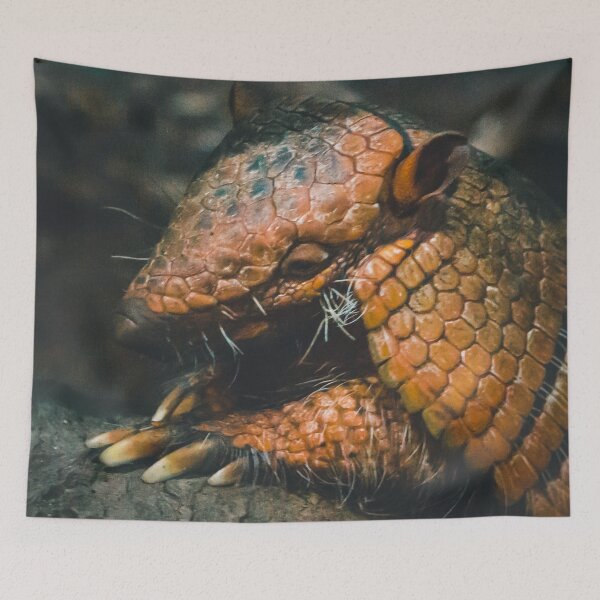 Item preview, Six Banded Armadillo at the zoo designed and sold by Michael Deemer.