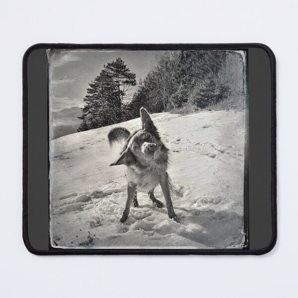 Item preview, The shaking dog designed and sold by Christine Mignon.