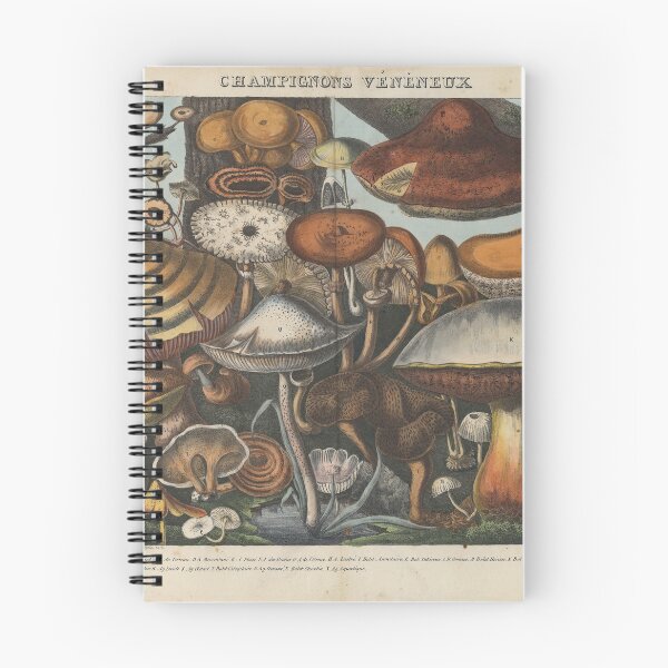 Item preview, Mushrooms (Champignons) designed and sold by Lloyd Library & Museum.