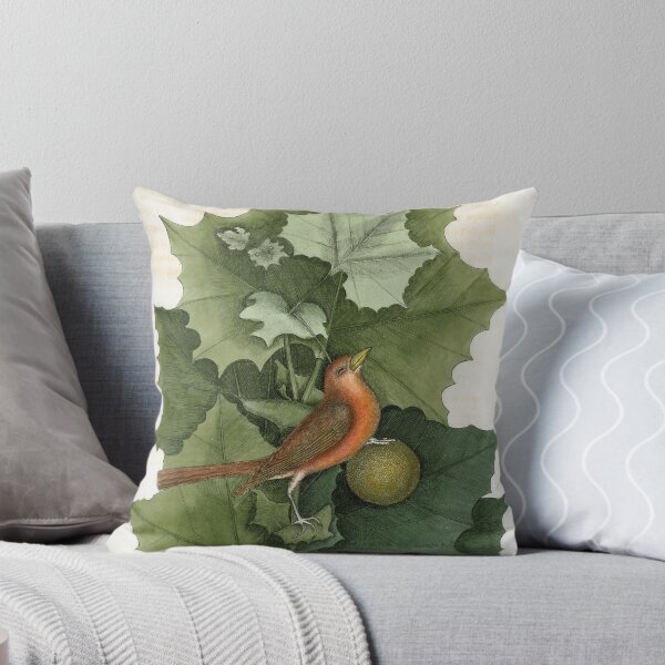 Item preview, The Summer Red-bird and the Western Plant-Tree designed and sold by Lloyd Library & Museum.