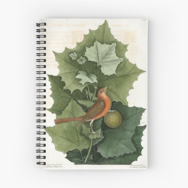 Item preview, The Summer Red-bird and the Western Plant-Tree designed and sold by Lloyd Library & Museum.
