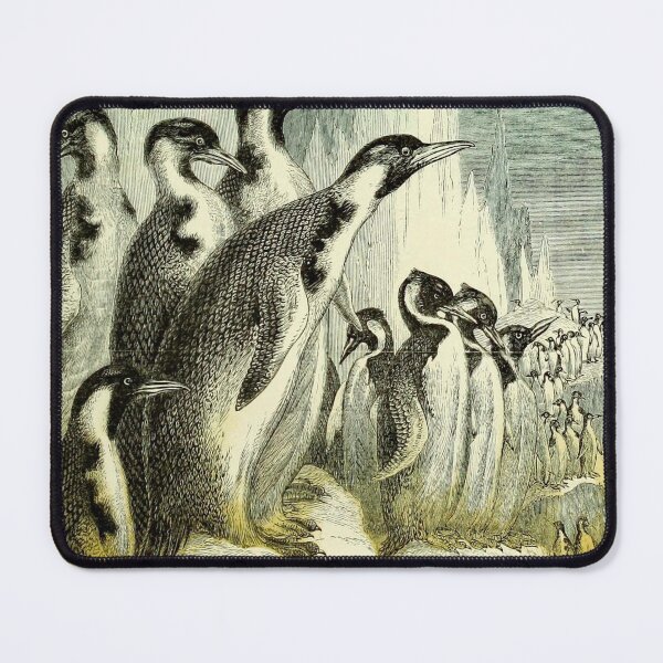 Item preview, Penguins of the South Polar Ice designed and sold by Lloyd Library & Museum.