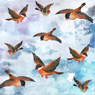 Artwork thumbnail, Sparrows by DimDom