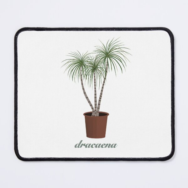 Item preview,  dracaena in a pot designed and sold by Ulyana  Trehubava.