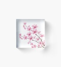 Sakura Kirschblüte Acrylblock