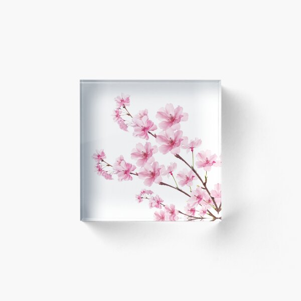 Sakura Cherry Blossom Acrylic Block